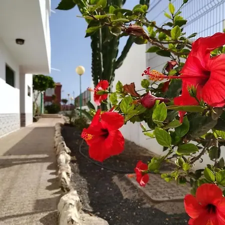 Appartement Casa Azul *